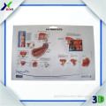 2014 Promotional Plastic Medical Wall Posters, Customized 3D Anatomical Charts